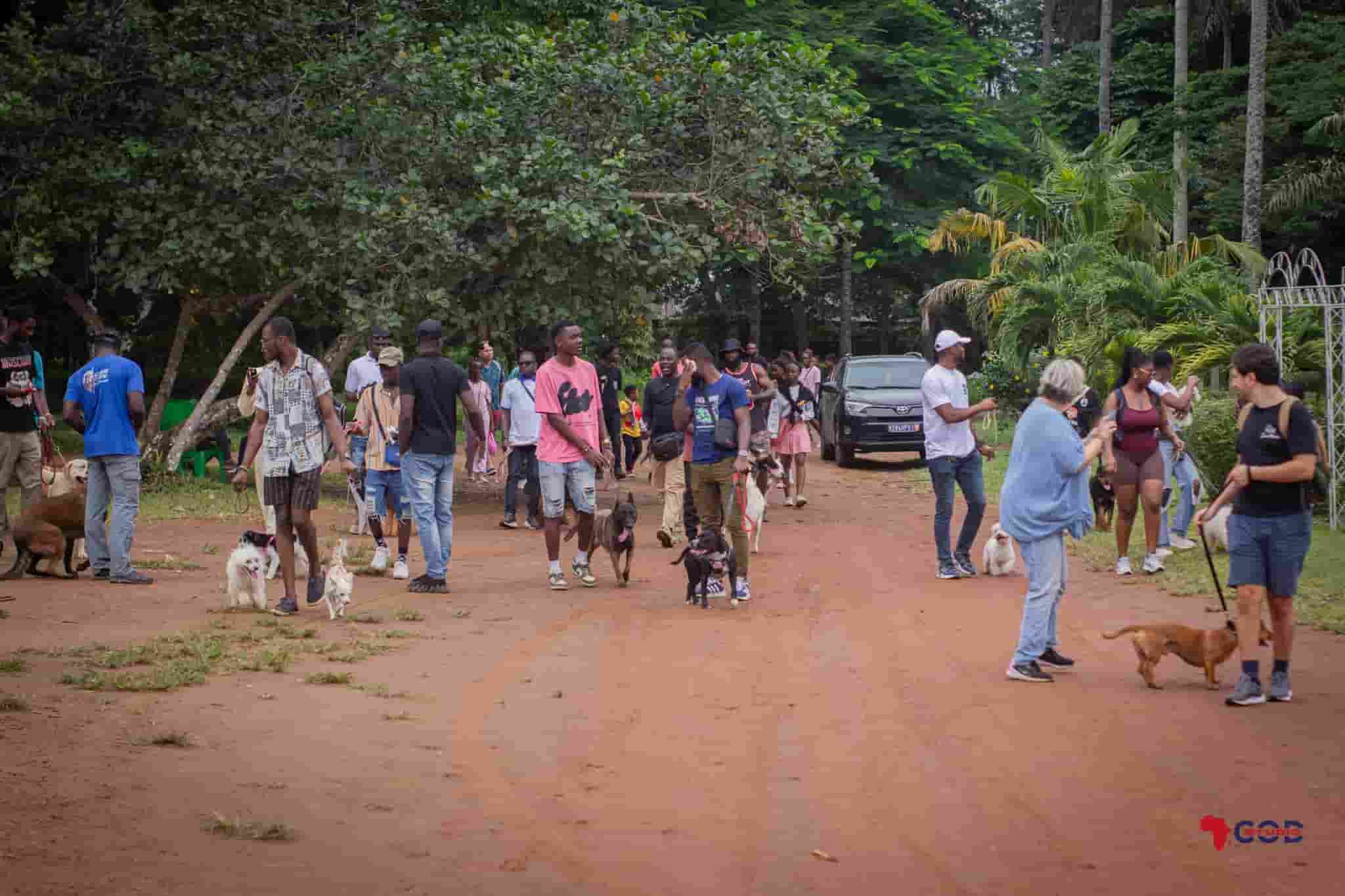 2e édition du Festival Canin : le bien être animal valorisé