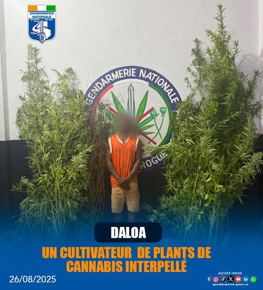 8.	Côte d’Ivoire : un homme de 32 ans devant la justice à Daloa pour Trafic de drogue 