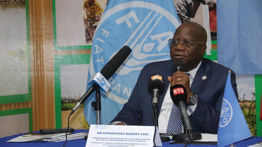 Côte d’Ivoire : une mission régionale de la FAO bientôt à Abidjan